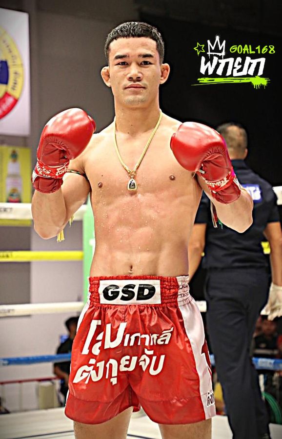 boxer