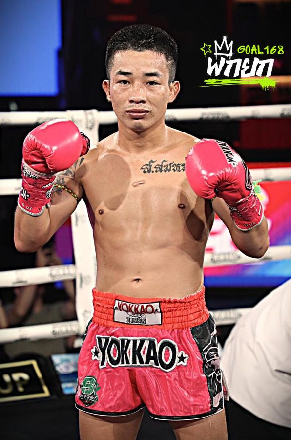 boxer
