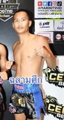ฉลามศึก
