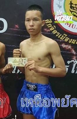 เหนือพยัคฆ์