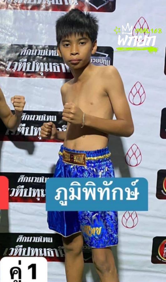 ภูมิพิทักษ์