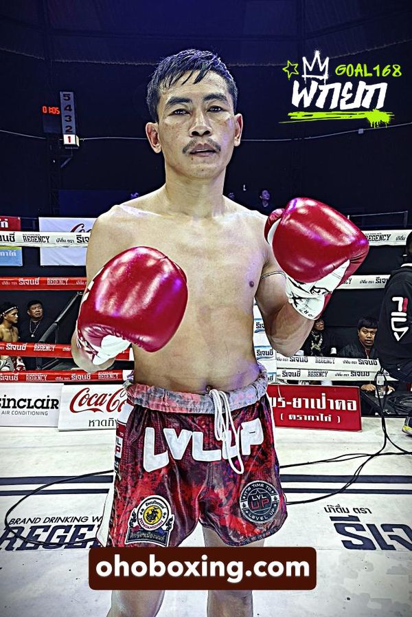 boxer