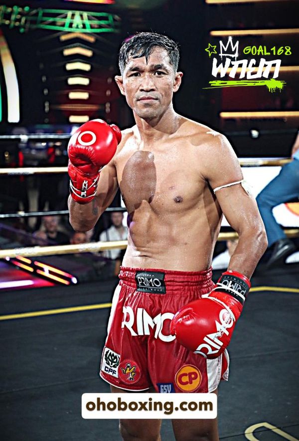 boxer