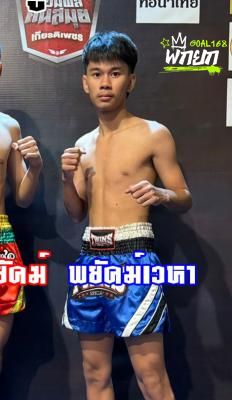 พยัคฆ์เวหา