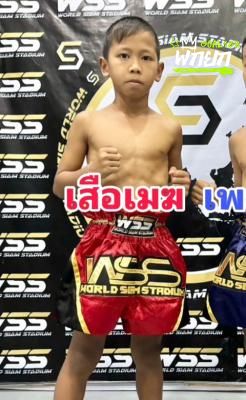 เสือเมฆ