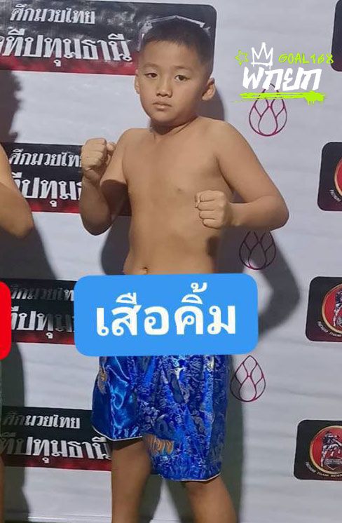 เสือคิม