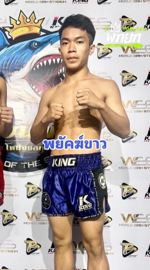 พยัคฆ์ขาว